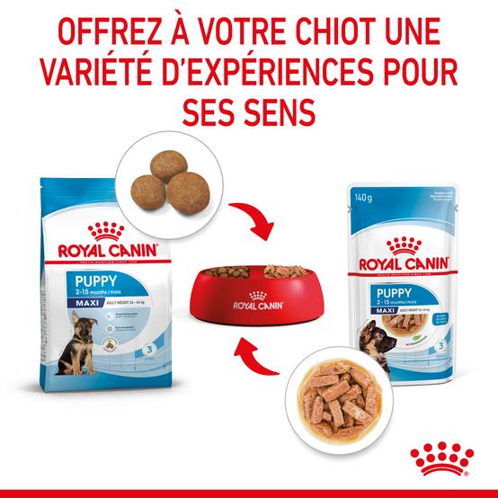 Royal Canin - Aliment Humide Chiot Maxi Sauce - ROYAL CANIN - Image 8