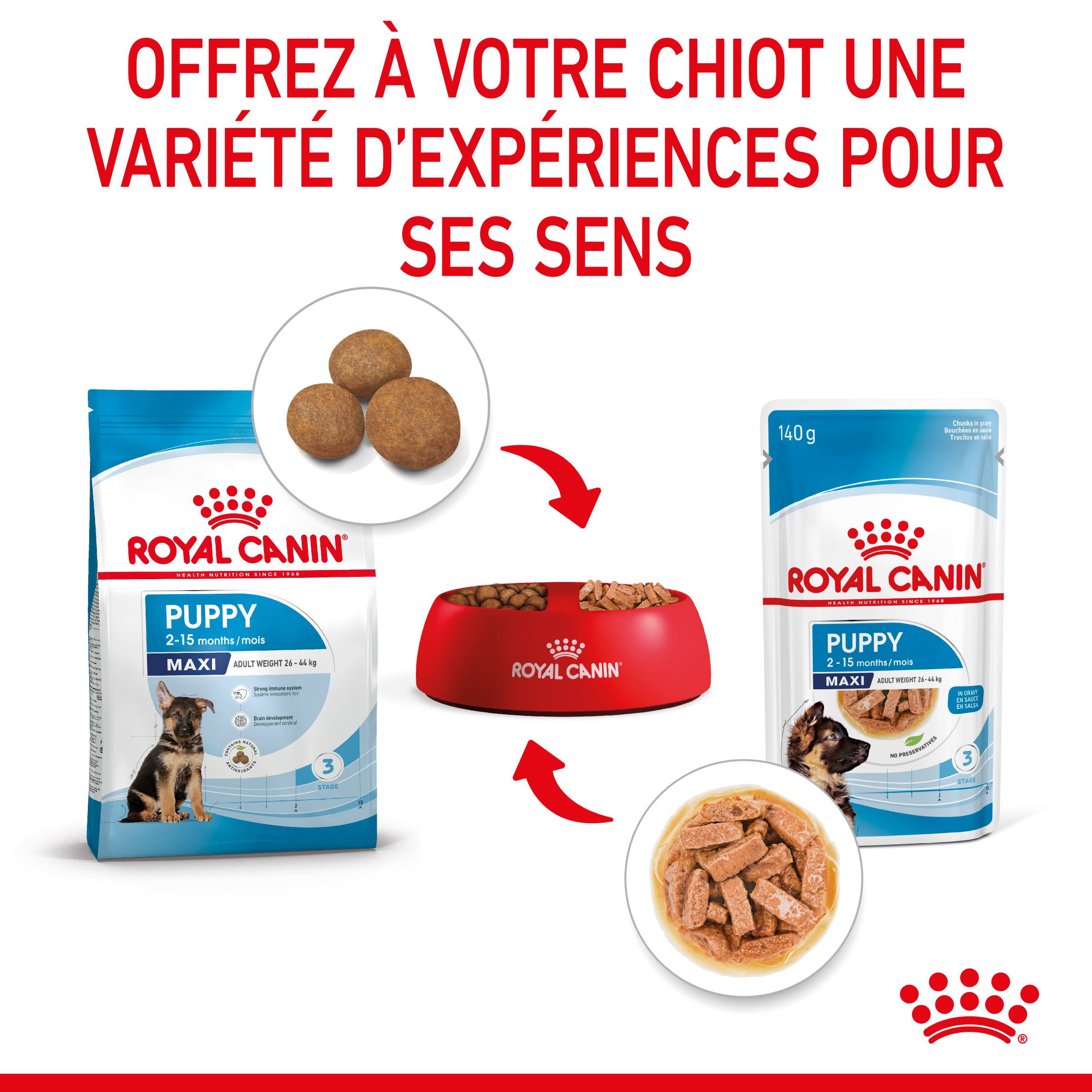 Royal Canin - Aliment Humide Chiot Maxi Sauce - ROYAL CANIN - Image 8