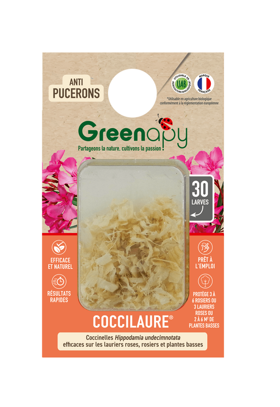Greenapy - Coccinelles 30 larves Coccilaure anti pucerons Vivapack - Greenapy - Image 1