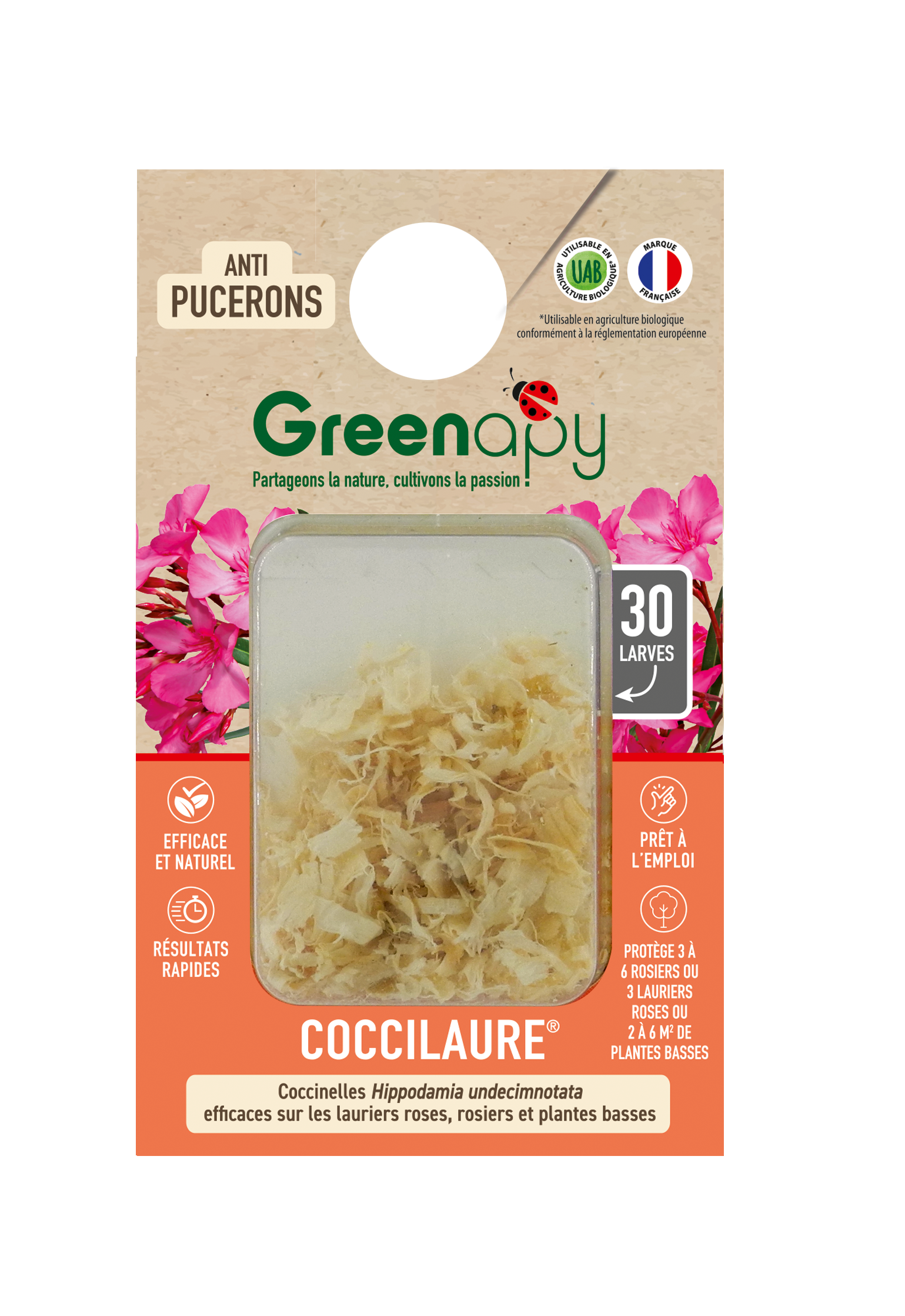 Greenapy - Coccinelles 30 larves Coccilaure anti pucerons Vivapack - Greenapy - Image 1