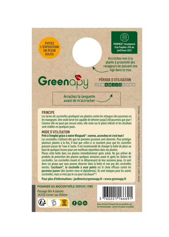 Greenapy - Coccinelles 30 larves Coccilaure anti pucerons Vivapack - Greenapy - Image 5