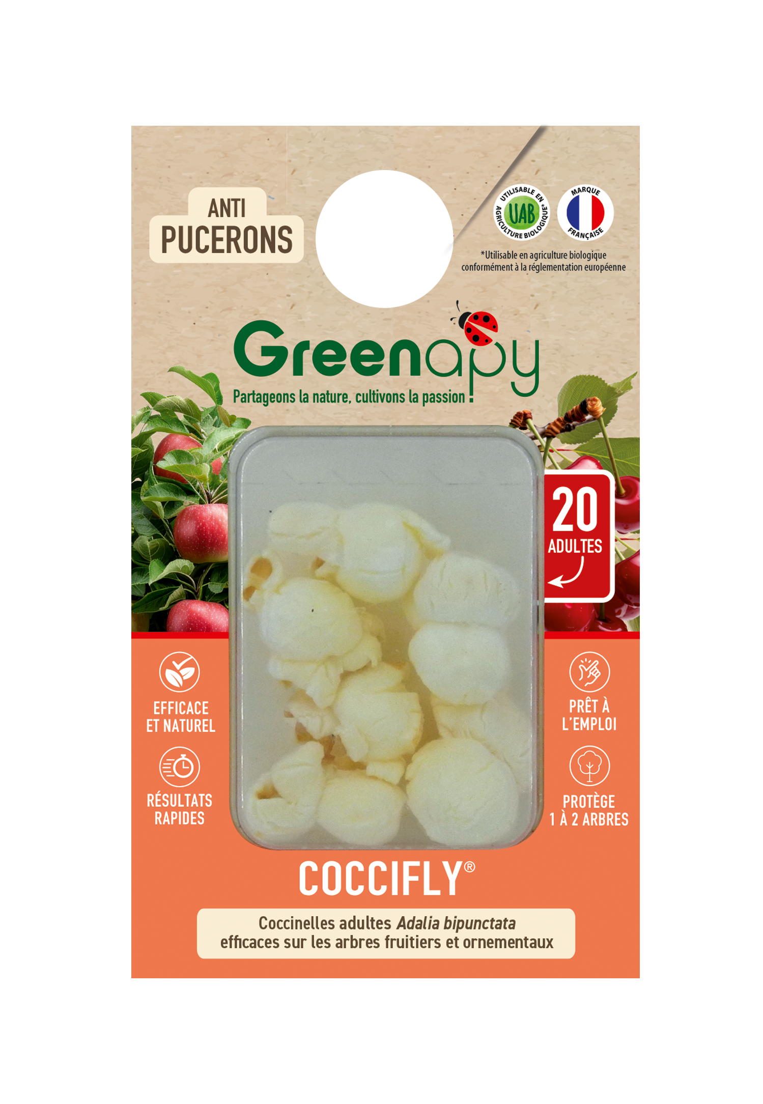 Greenapy - Coccinelles adultes Coccifly anti pucerons 20 adultes Vivapack - Greenapy - Image 1