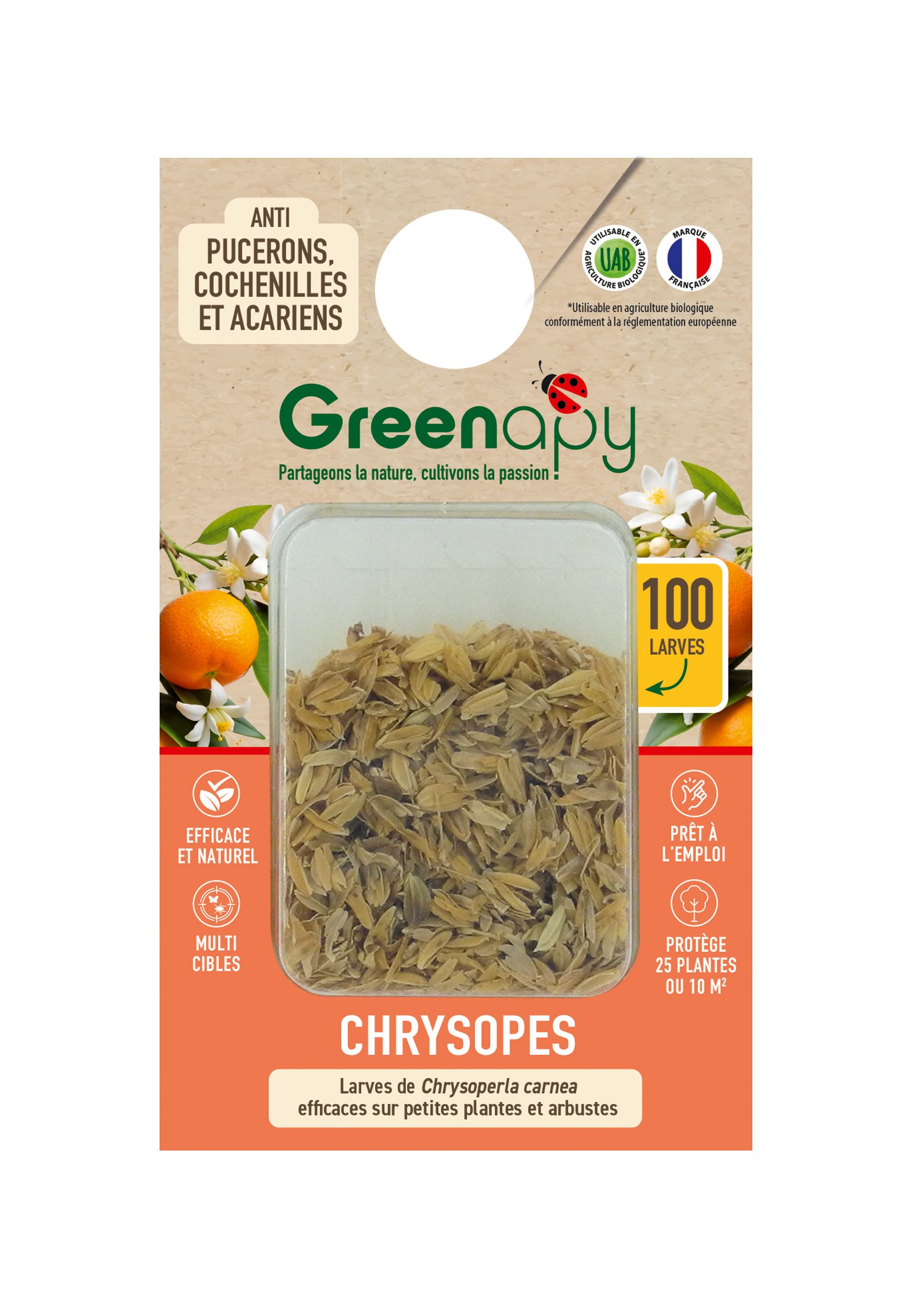 Greenapy - Chrysopes 100 larves anti-pucerons et autres Vivapack - Greenapy