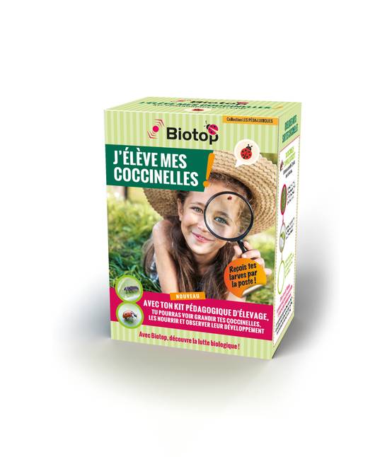 Greenapy - Kit pédagogique d'élevage de coccinelles avec BDC - Greenapy - Image 2