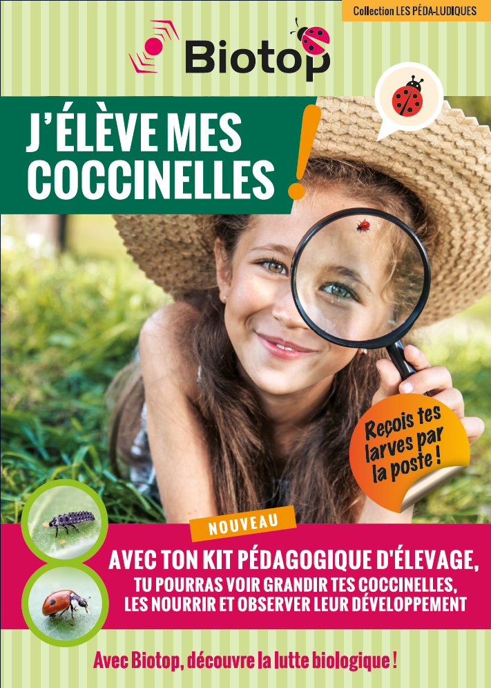 Greenapy - Kit pédagogique d'élevage de coccinelles avec BDC - Greenapy - Image 3