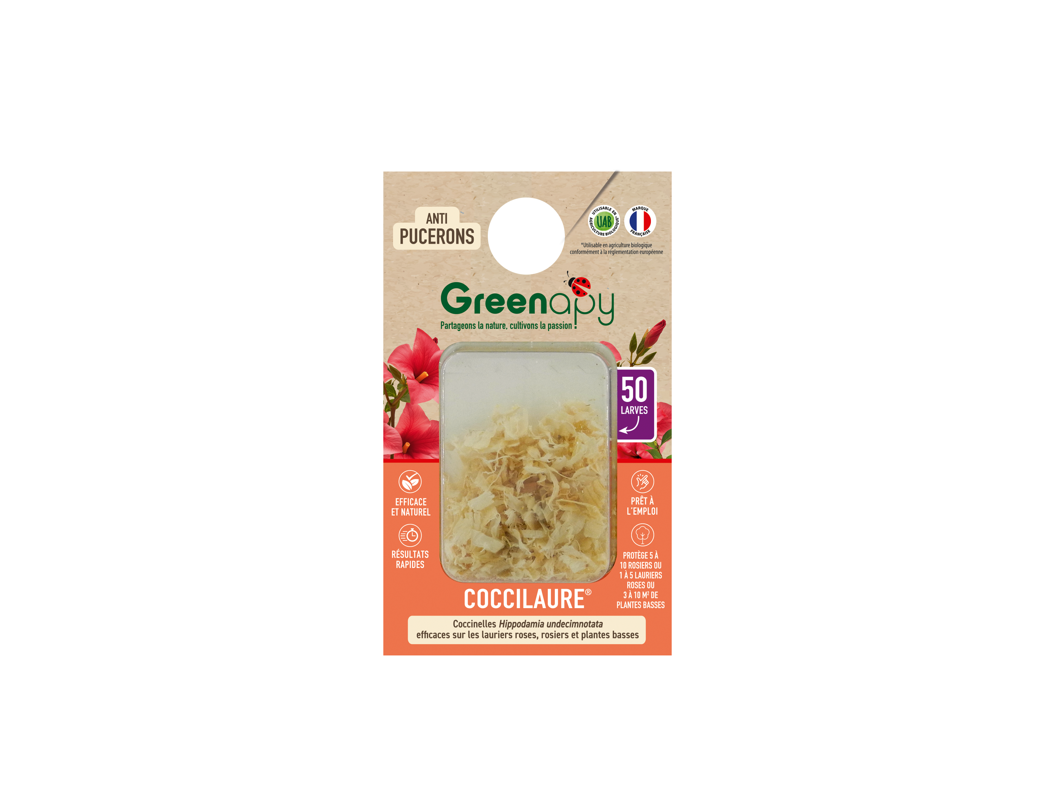 Greenapy - Coccinelles 50 larves Coccilaure anti pucerons Vivapack - Greenapy