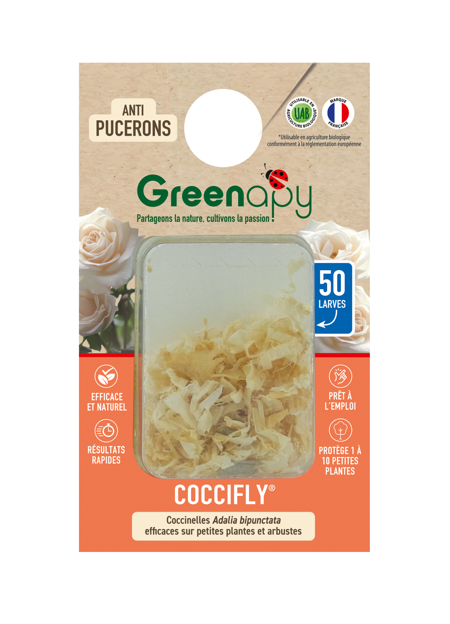 Greenapy - Coccinelles 50 larves Coccifly anti pucerons Vivapack - Greenapy