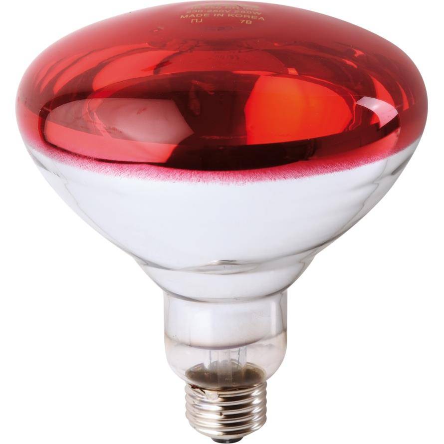 Ampoule infrarouge halogène E27 250W rouge PHILIPS - Image 2