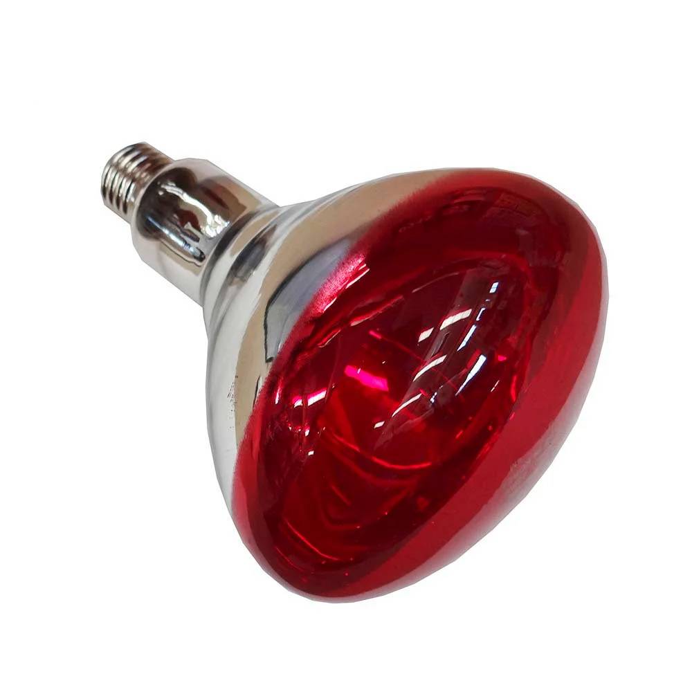 Ampoule infrarouge halogène E27 250W rouge PHILIPS - Image 9