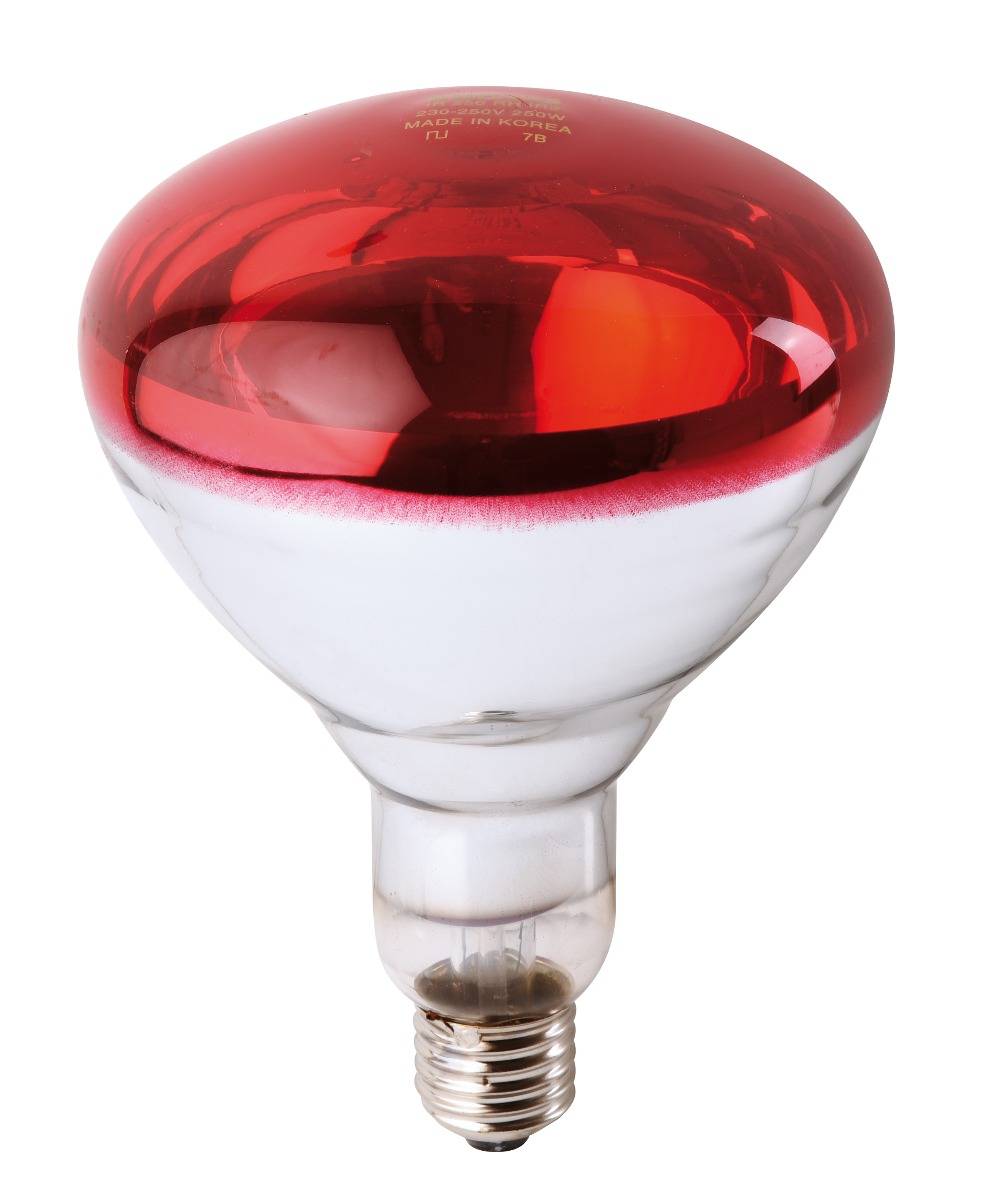 Ampoule PHILIPS IR à vis rouge 150W - Image 1