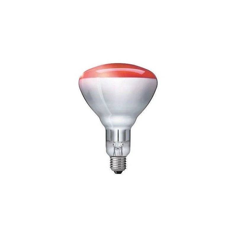 Ampoule PHILIPS IR à vis rouge 150W - Image 4