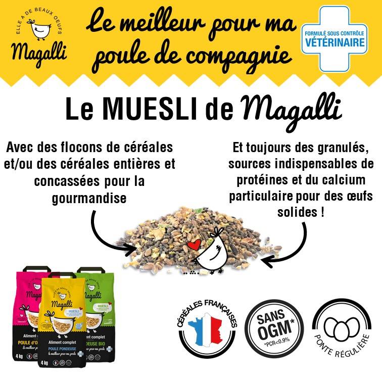 Magalli - Aliment Complet Poule Pondeuse – MAGALLI - Image 2