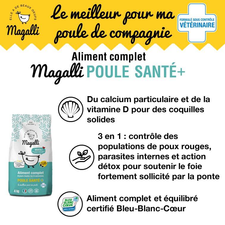 Magalli - Alimento Completo Gallina Salud+ – MAGALLI - Imagen 2