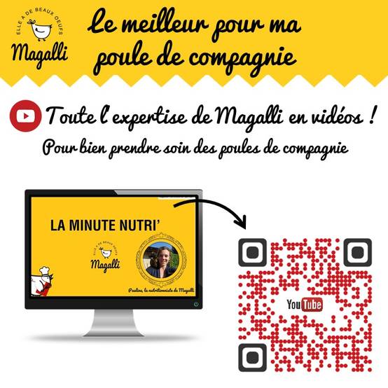 Magalli - Aliment Bio Poule Pondeuse - MAGALLI - Image 2