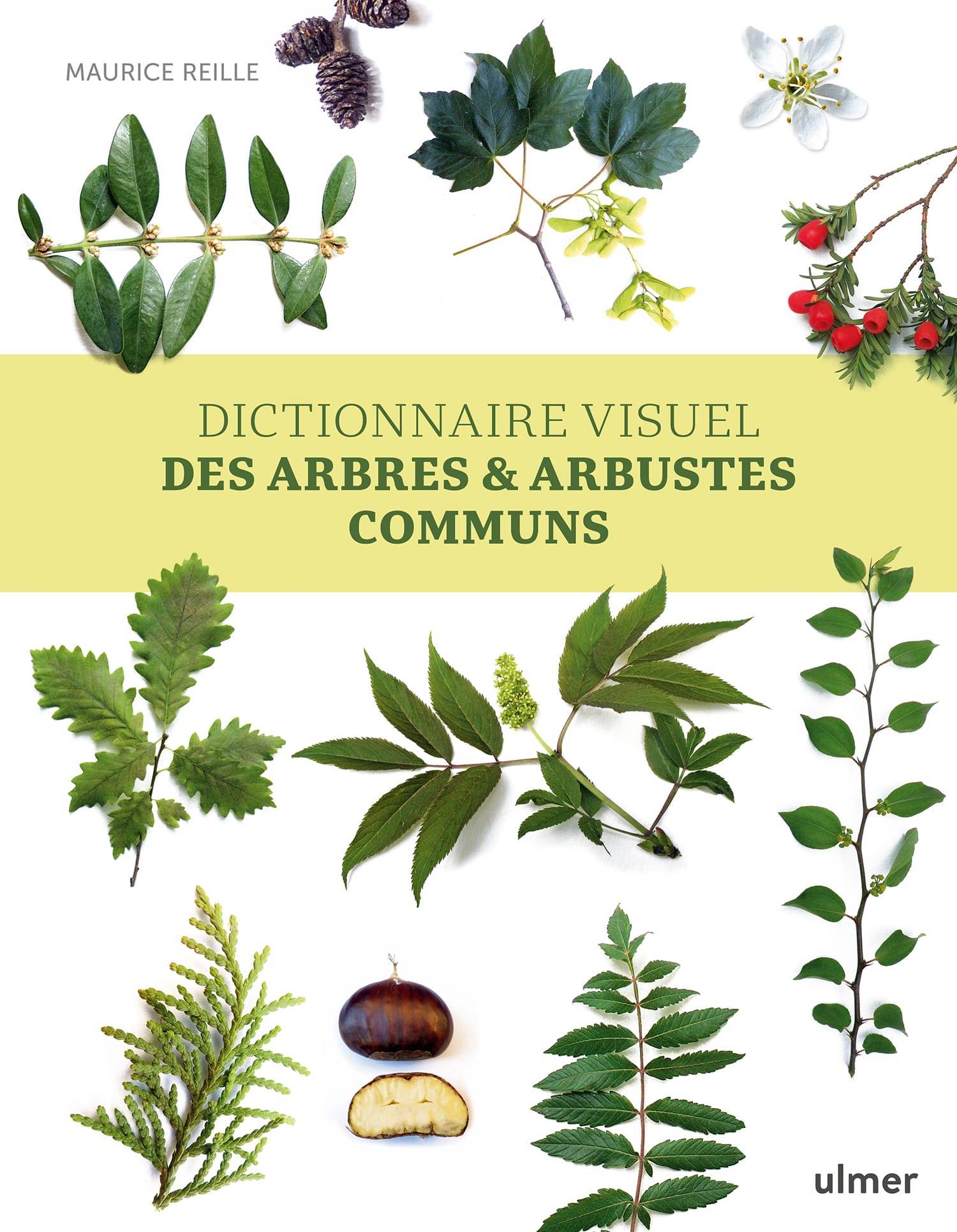 Dictionnaire visuel des arbres et arbustes communs - Reille M.