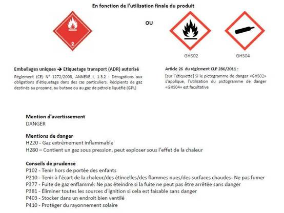 Charge de gaz propane 5 kg - - Image 2
