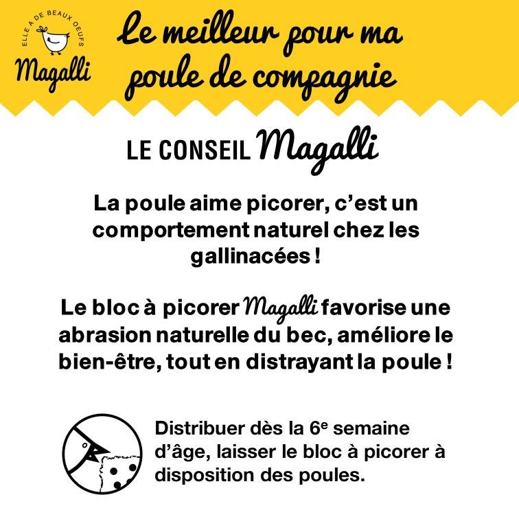 Magalli - Bloc à picorer pour poules 1 Kg - MAGALLI - Image 2