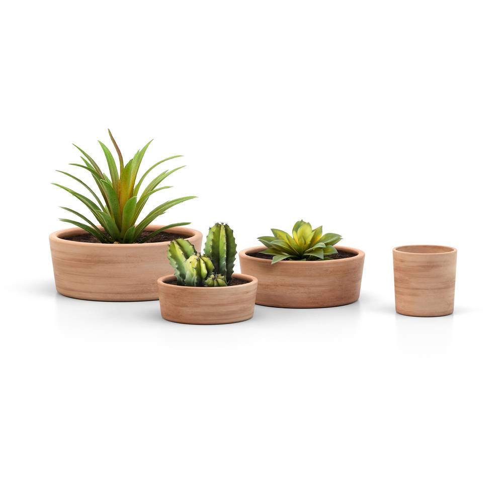 Pot Coupe Basse Terre Cuite Ø 20 cm H 7,5 cm – GOICOECHEA - Image 3