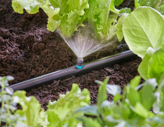 Gardena - Micro-asperseur 90° pour tuyau Ø 13 mm boîte de 5 pièces - Gardena - Image 2