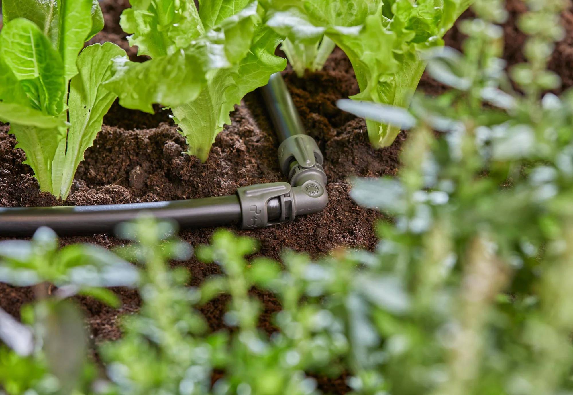 Gardena - Jonction en L 13 mm Boîte de 5 pièces Quick & Easy - Gardena - Imagen 2