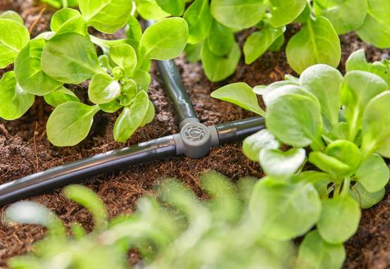 Gardena - Dérivation en T Micro-Drip System - Gardena - Image 2