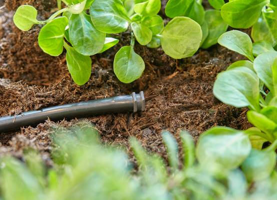 Gardena - Bouchons goutte à goutte 4,6mm Boite de 10 pièces - Gardena - Image 2