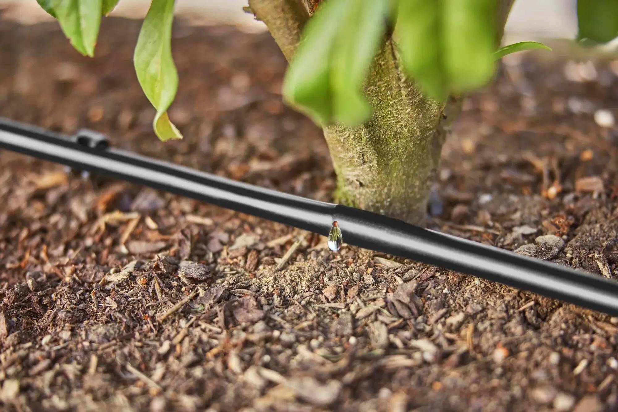 Kit d'arrosage goutte-à-goutte pour rangée de plantes 25m - GARDENA - Imagen 5