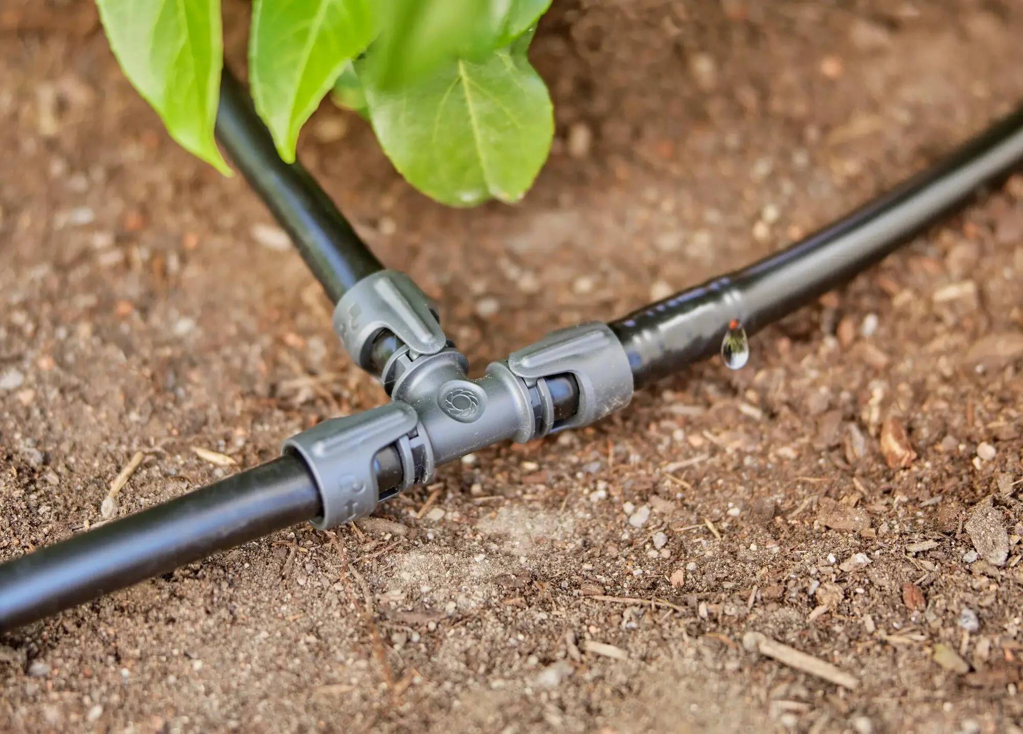 Kit d'arrosage goutte-à-goutte pour rangée de plantes 25m - GARDENA - Imagen 4