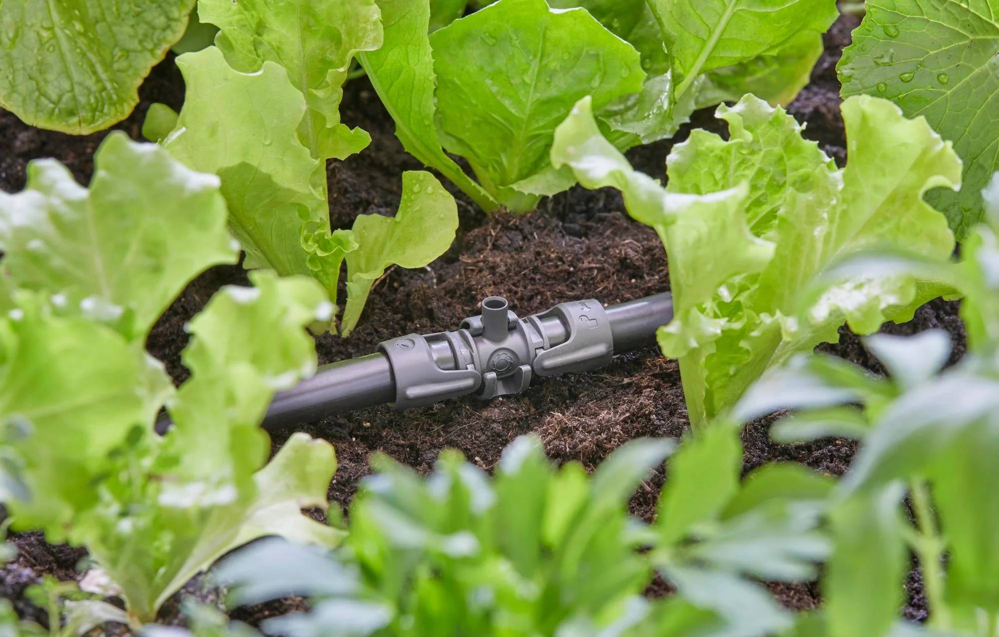Gardena - Dérivation en T pour micro-asperseurs plastique 13 mm - Gardena - Imagen 3