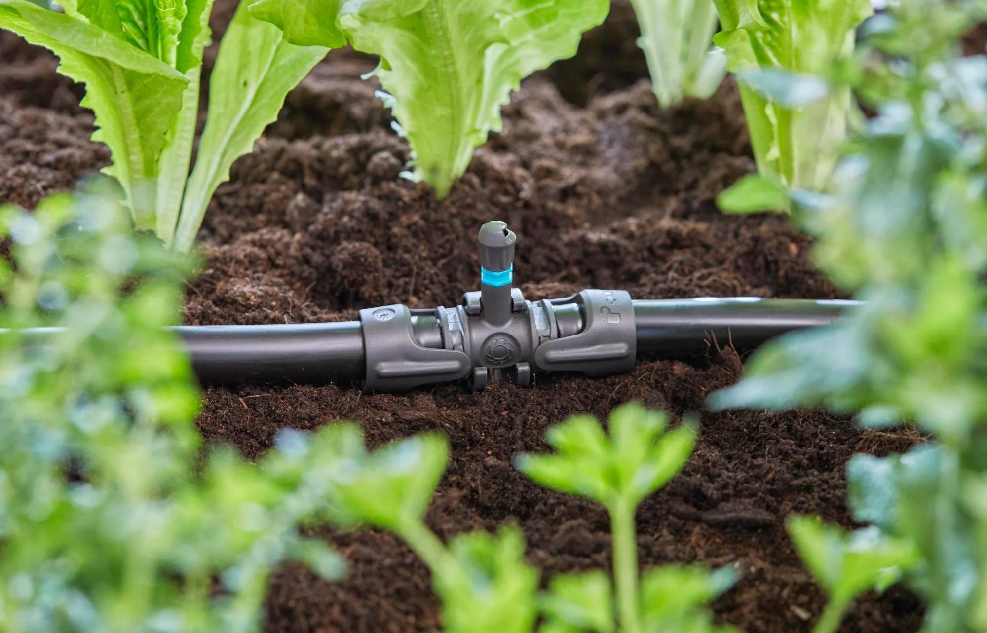 Gardena - Dérivation en T pour micro-asperseurs plastique 13 mm - Gardena - Imagen 2