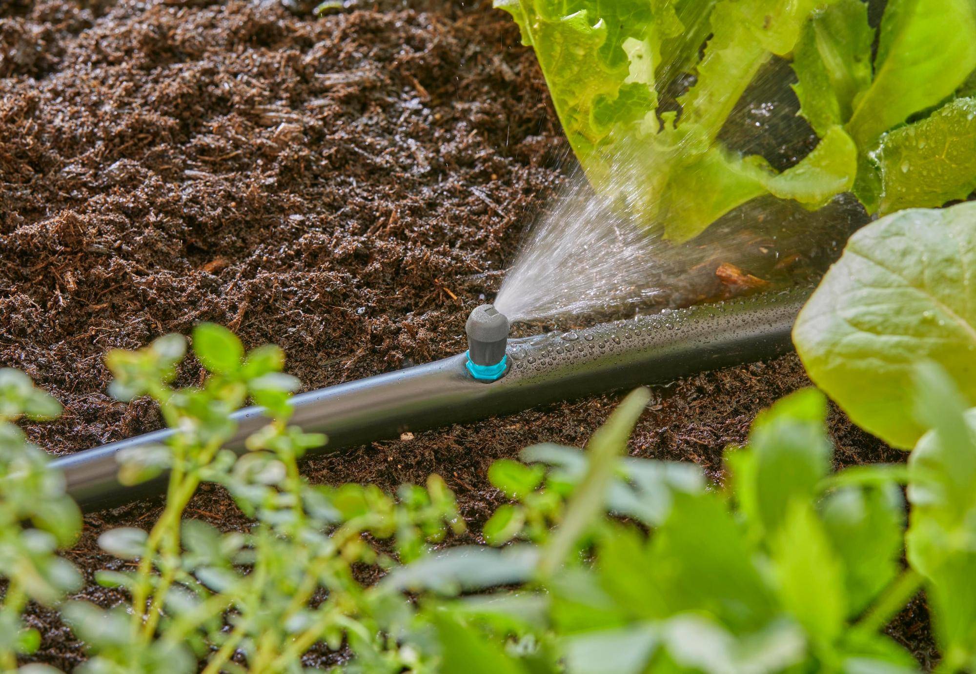Gardena - Micro-asperseur plate-bande Goutte-à-goutte 13 mm - Gardena - Imagen 3