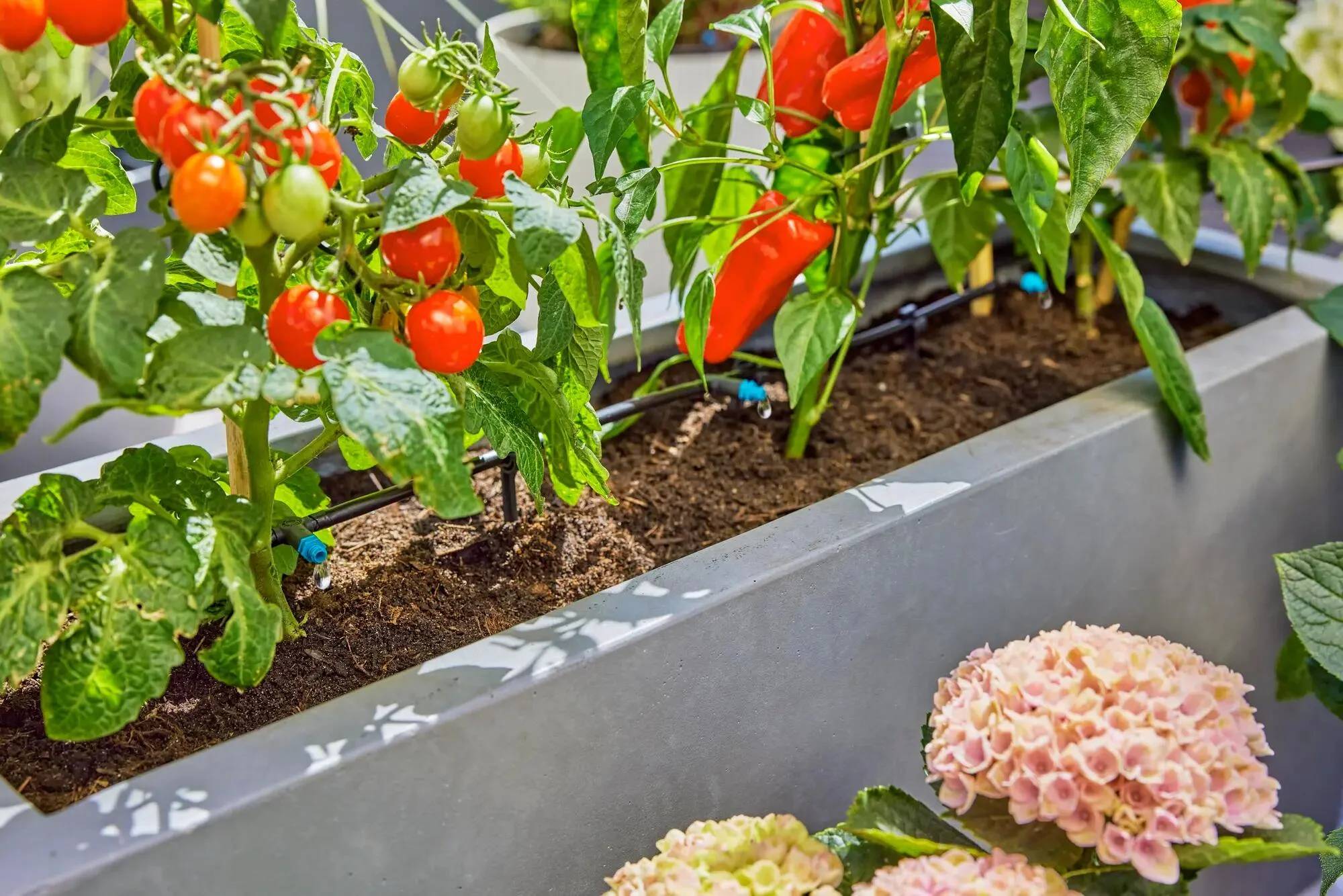 Gardena - Kit d'arrosage goutte-à-goutte pour terrasse 30 plantes - Gardena - Imagen 3