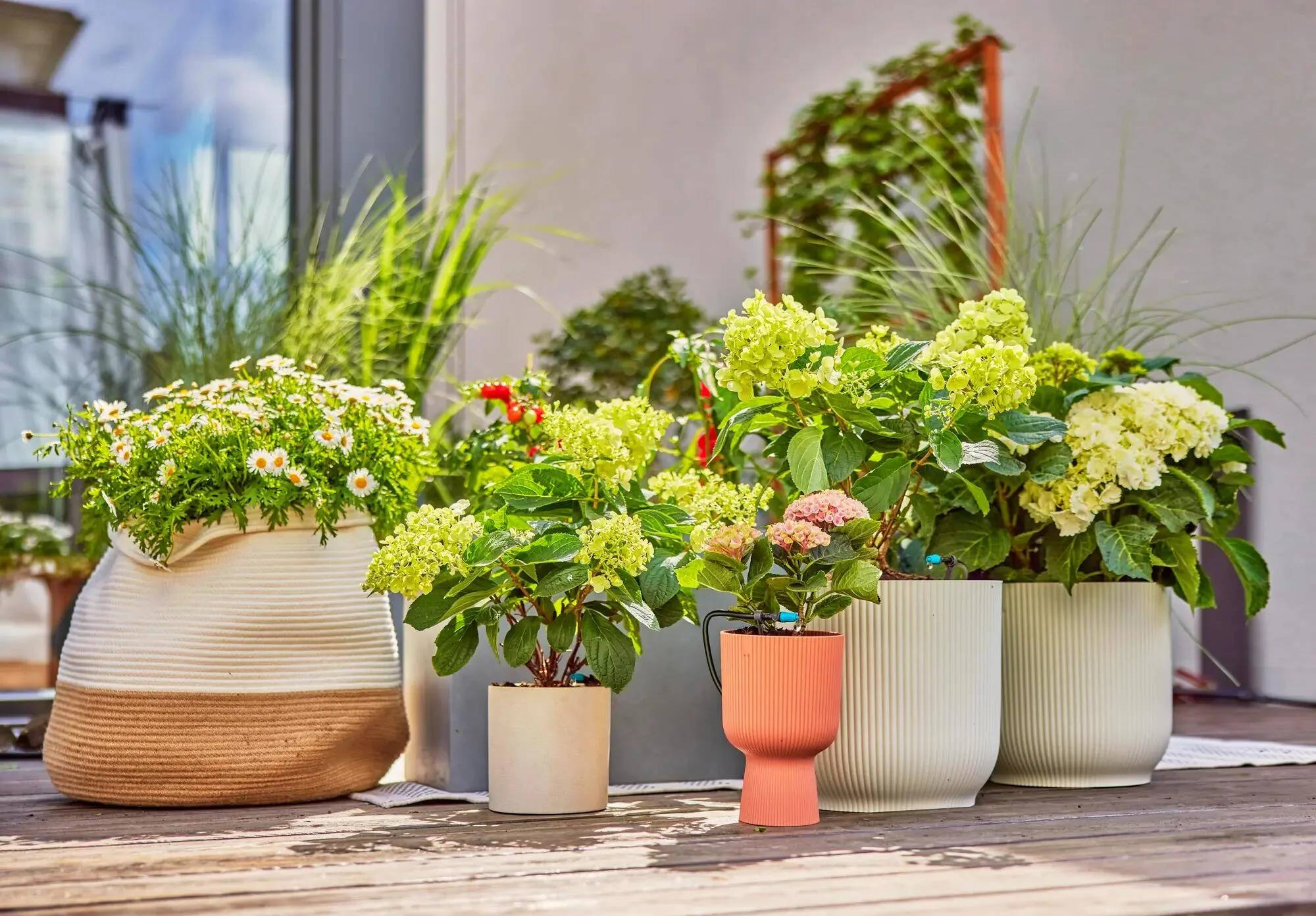 Gardena - Kit d'arrosage goutte-à-goutte pour terrasse 30 plantes - Gardena