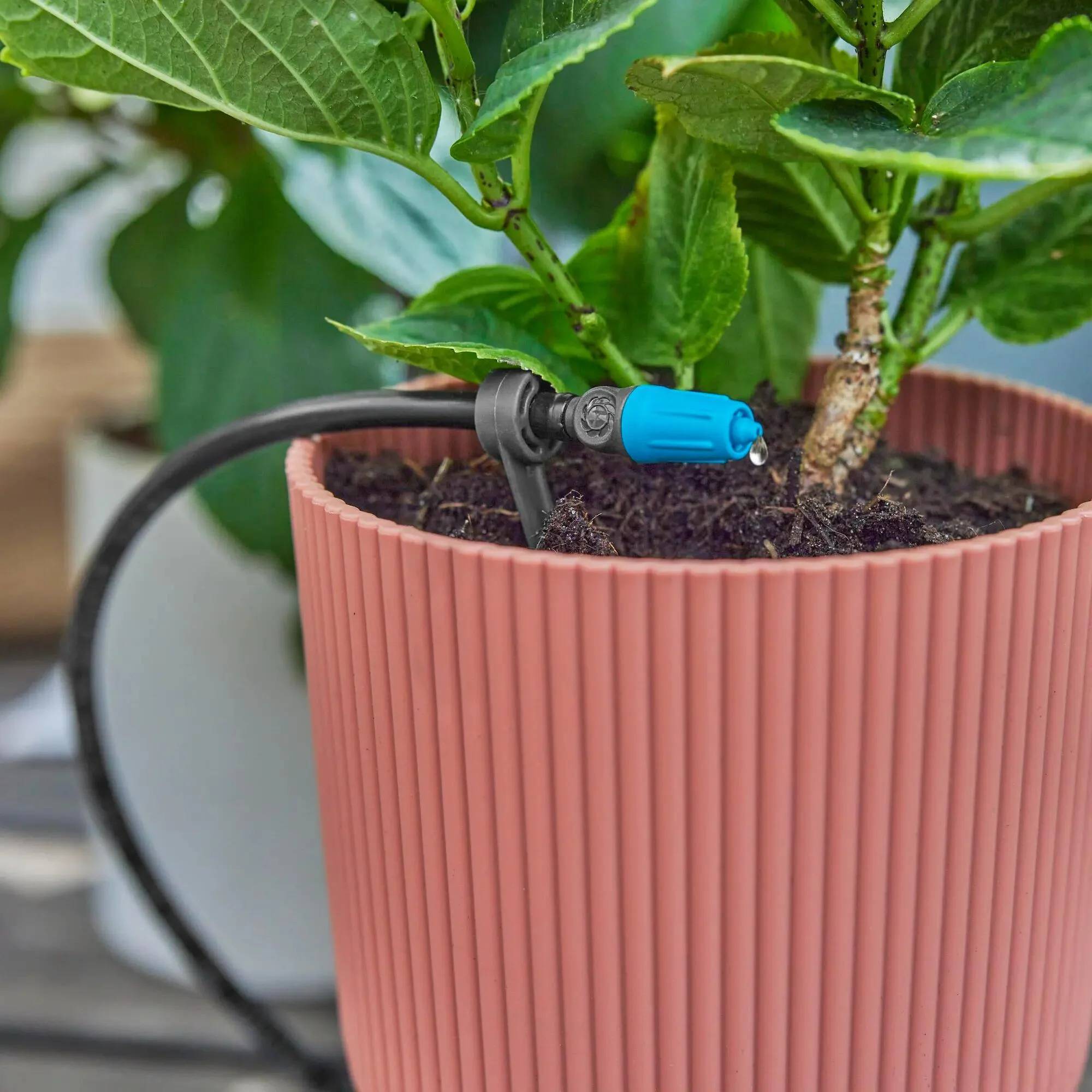Gardena - Kit d'arrosage goutte-à-goutte pour terrasse 30 plantes - Gardena - Imagen 4