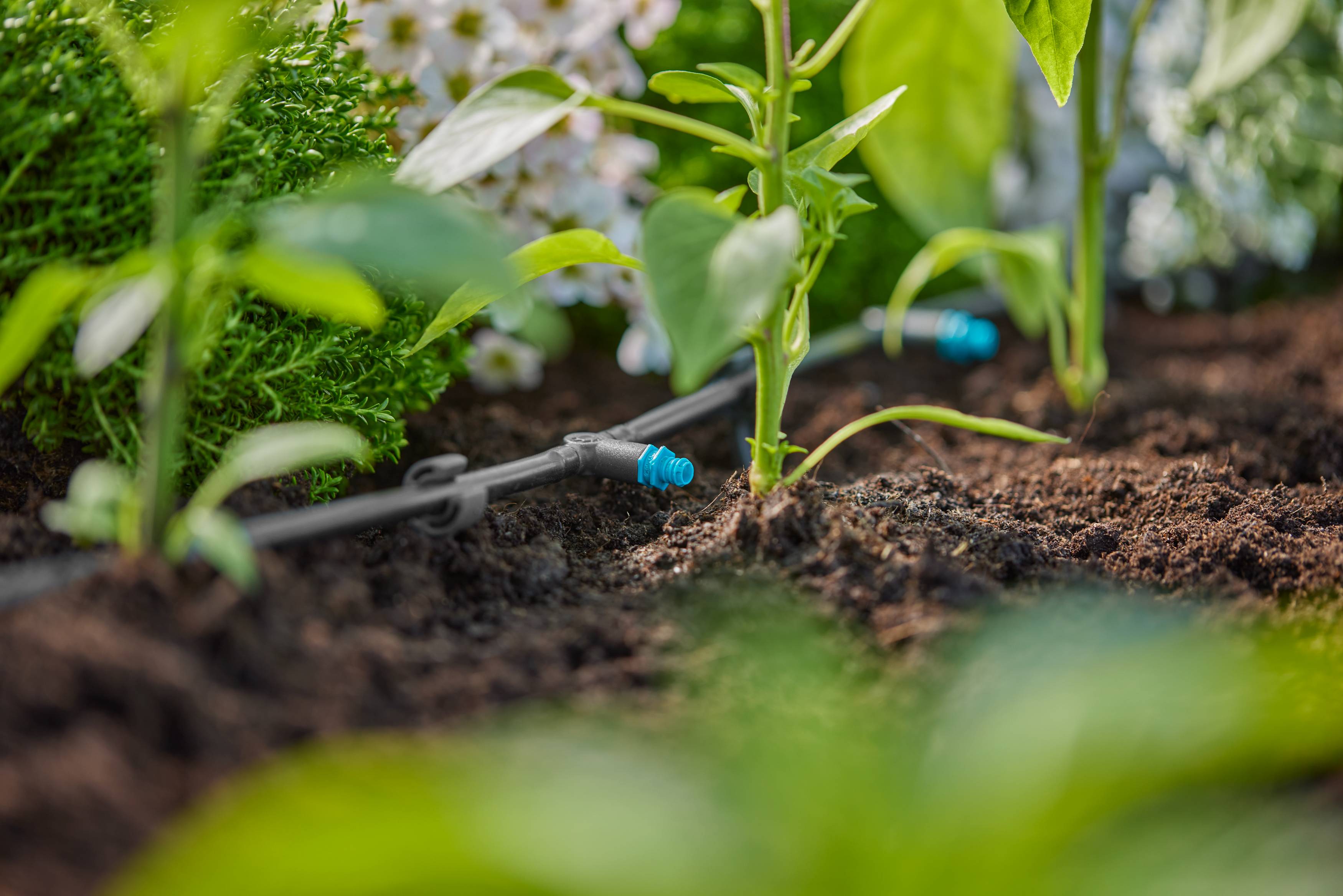 Gardena - Goutteur en ligne auto-régulant 2L/h Boîte de 10 pièces - Gardena - Imagen 3