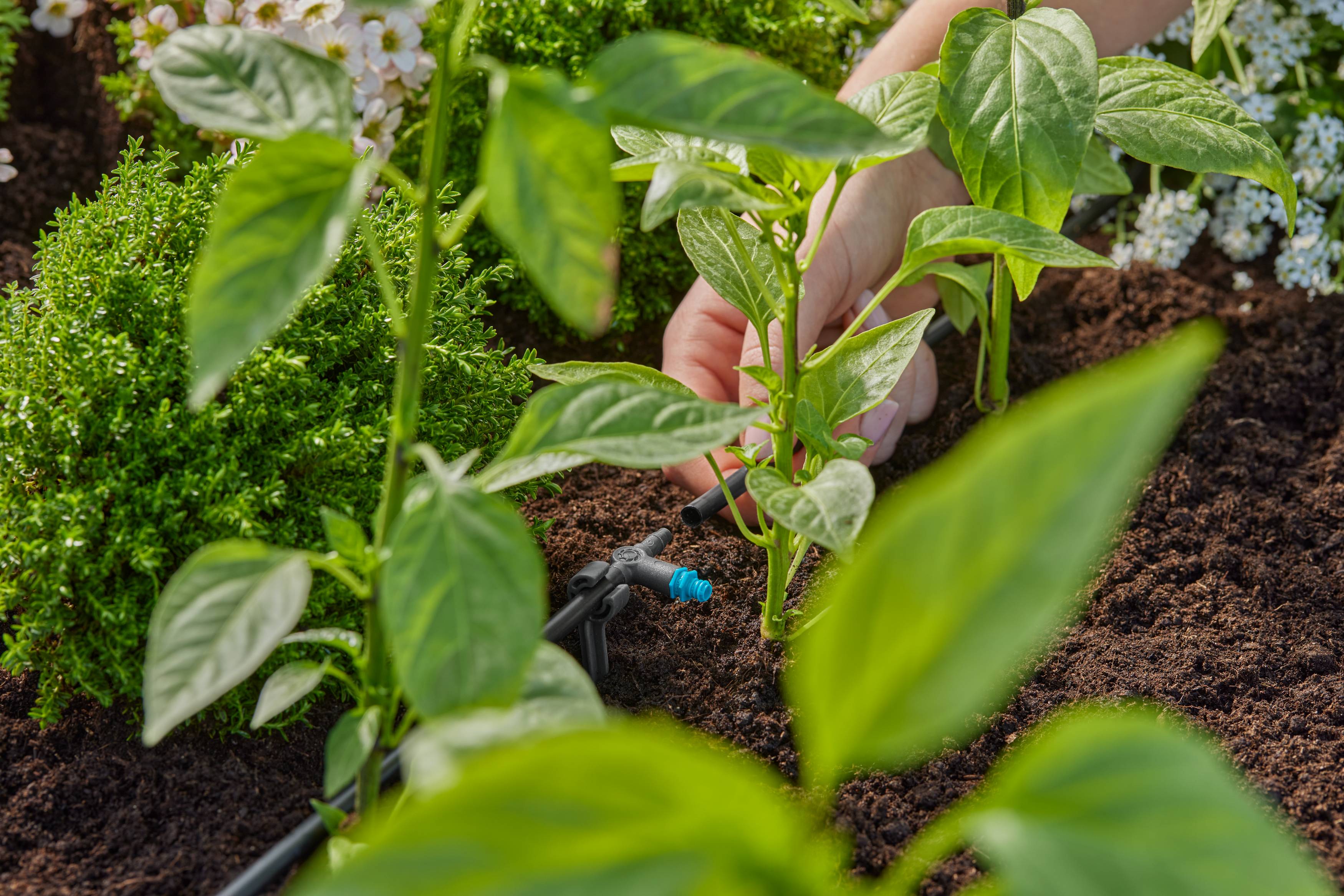 Gardena - Goutteur en ligne auto-régulant 2L/h Boîte de 10 pièces - Gardena - Imagen 2