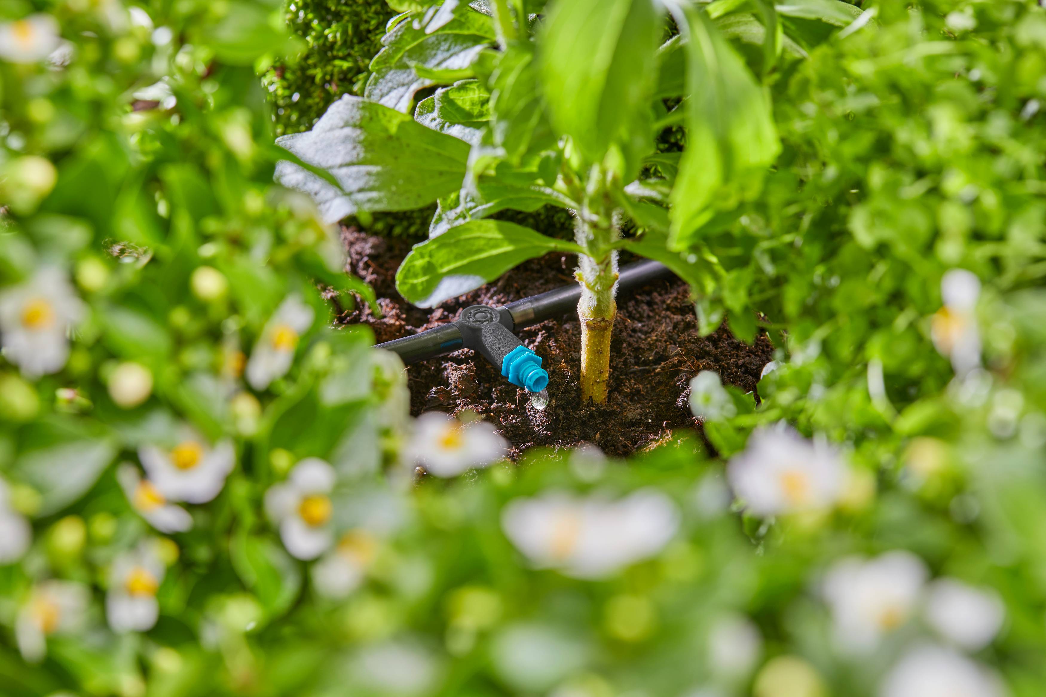 Gardena - Goutteur en ligne auto-régulant 2L/h Boîte de 10 pièces - Gardena - Imagen 5