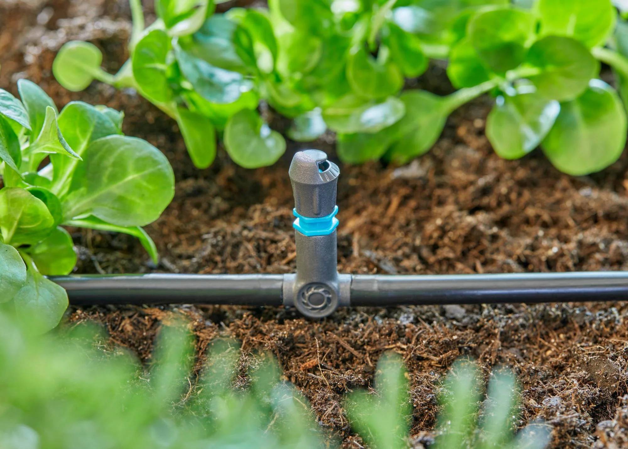Gardena - Dérivation en T pour micro-asperseurs – Gardena - Image 1