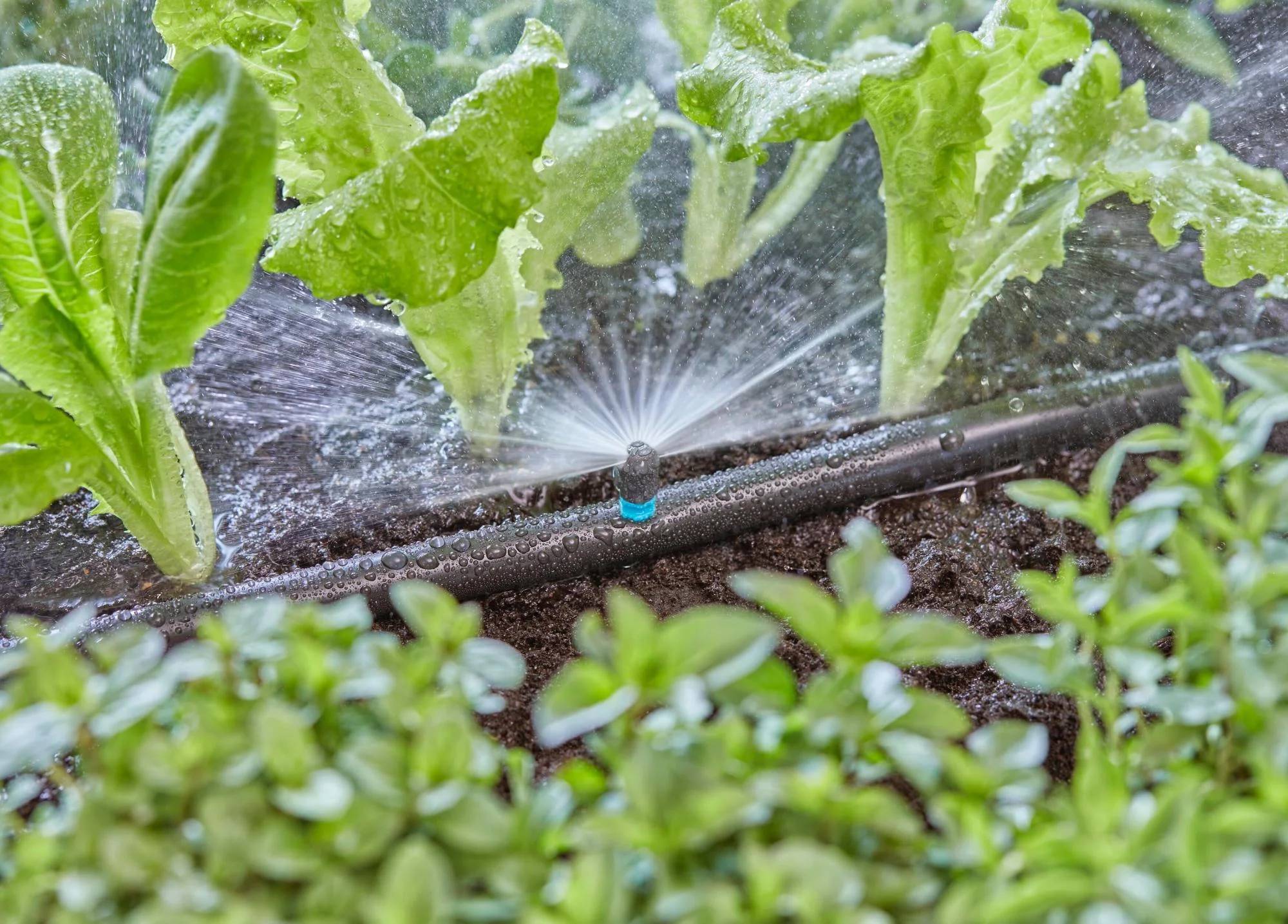 Gardena - Micro-asperseur 180° micro-drip Boite de 5 pièces - Gardena - Imagen 2