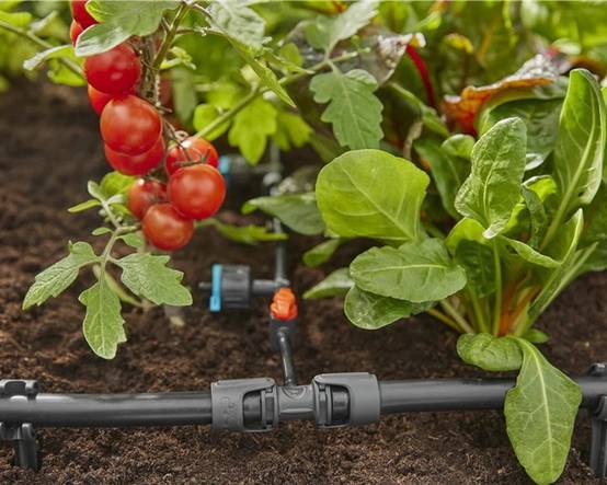Gardena - Réducteur en T plastique rouge entre tuyaux Ø 13 et 4,6 mm - Gardena - Image 3