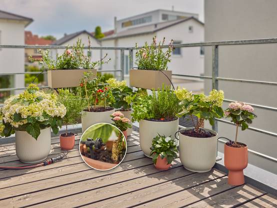 Gardena - Kit d'arrosage goutte-à-goutte balcon 15 plantes - Gardena - Image 6