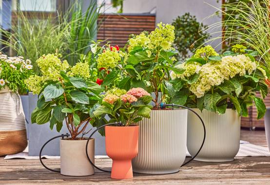 Gardena - Kit d'arrosage goutte-à-goutte balcon 15 plantes - Gardena - Image 8