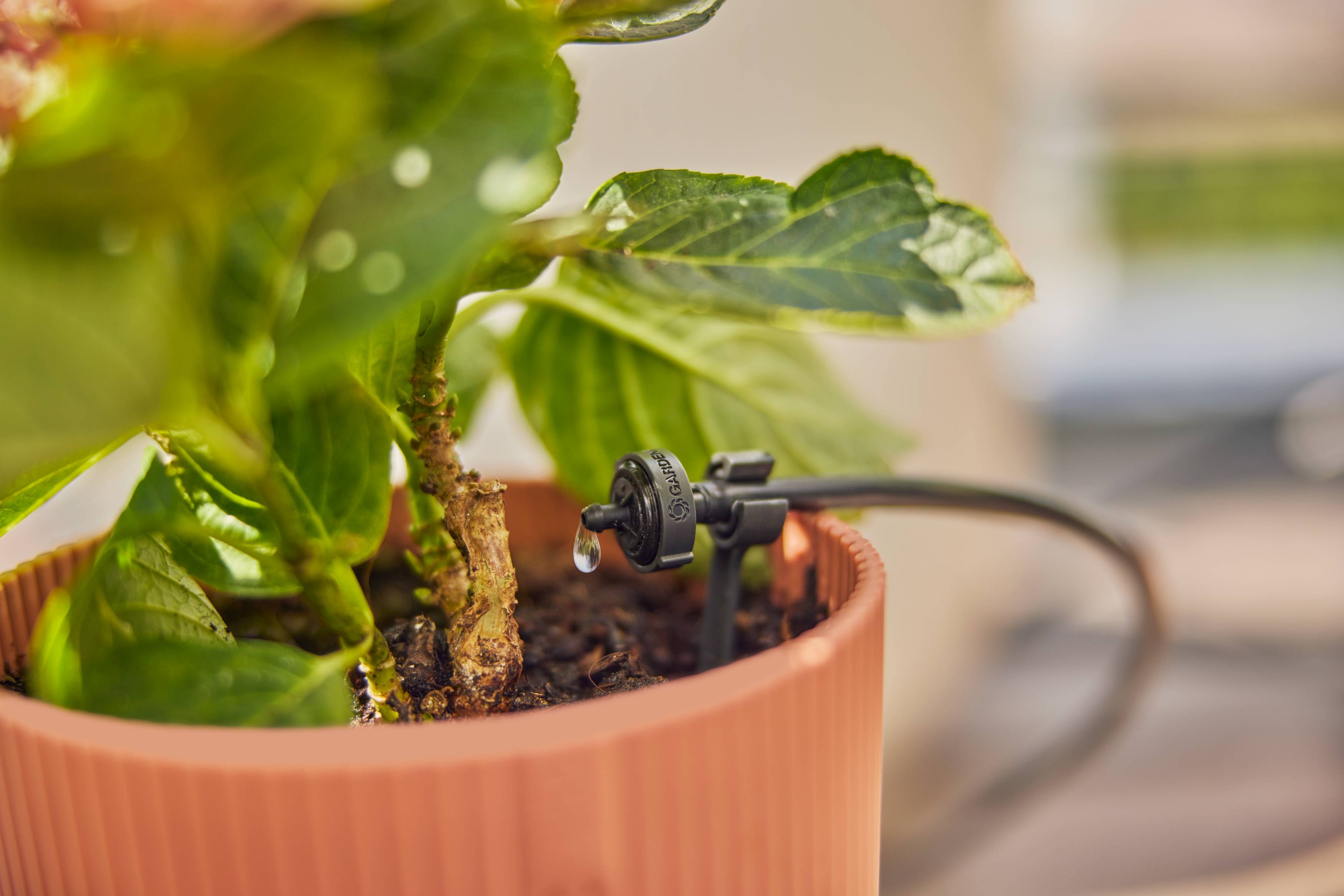Gardena - Kit d'arrosage goutte-à-goutte balcon 15 plantes - Gardena - Imagen 5