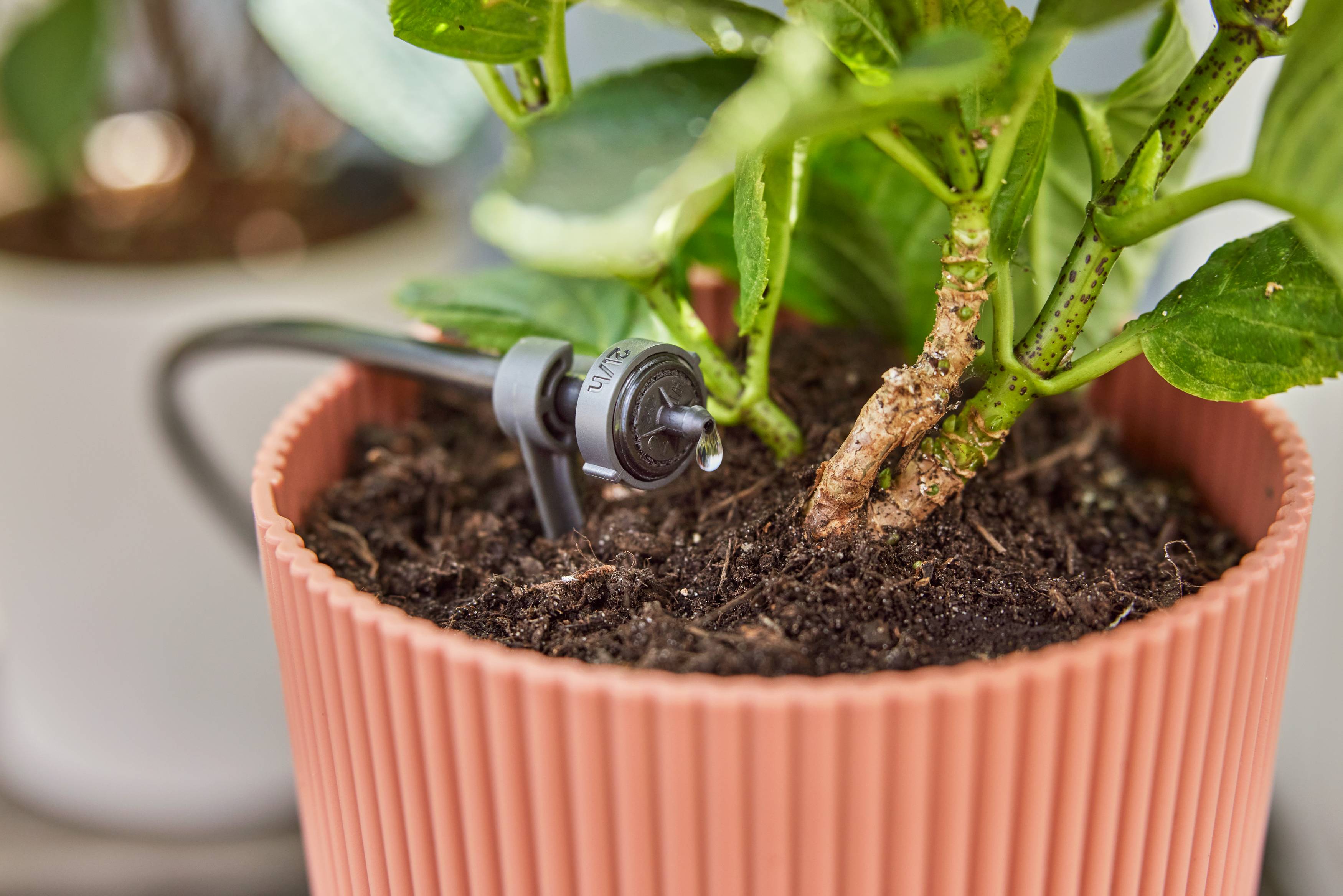Gardena - Kit d'arrosage goutte-à-goutte balcon 15 plantes - Gardena - Imagen 1