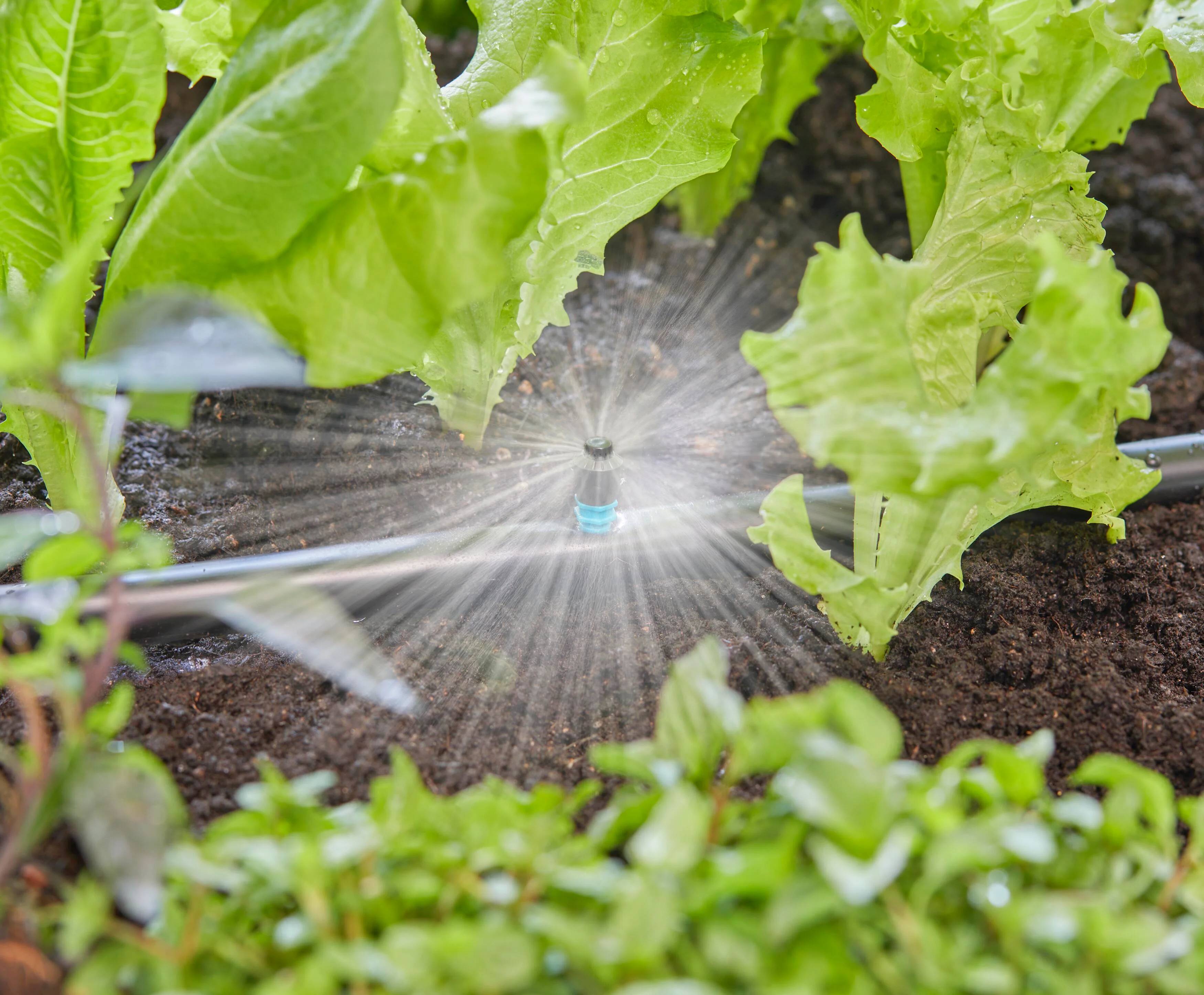Gardena - Micro-asperseur 360° boite de 5 pièces - Gardena - Imagen 2