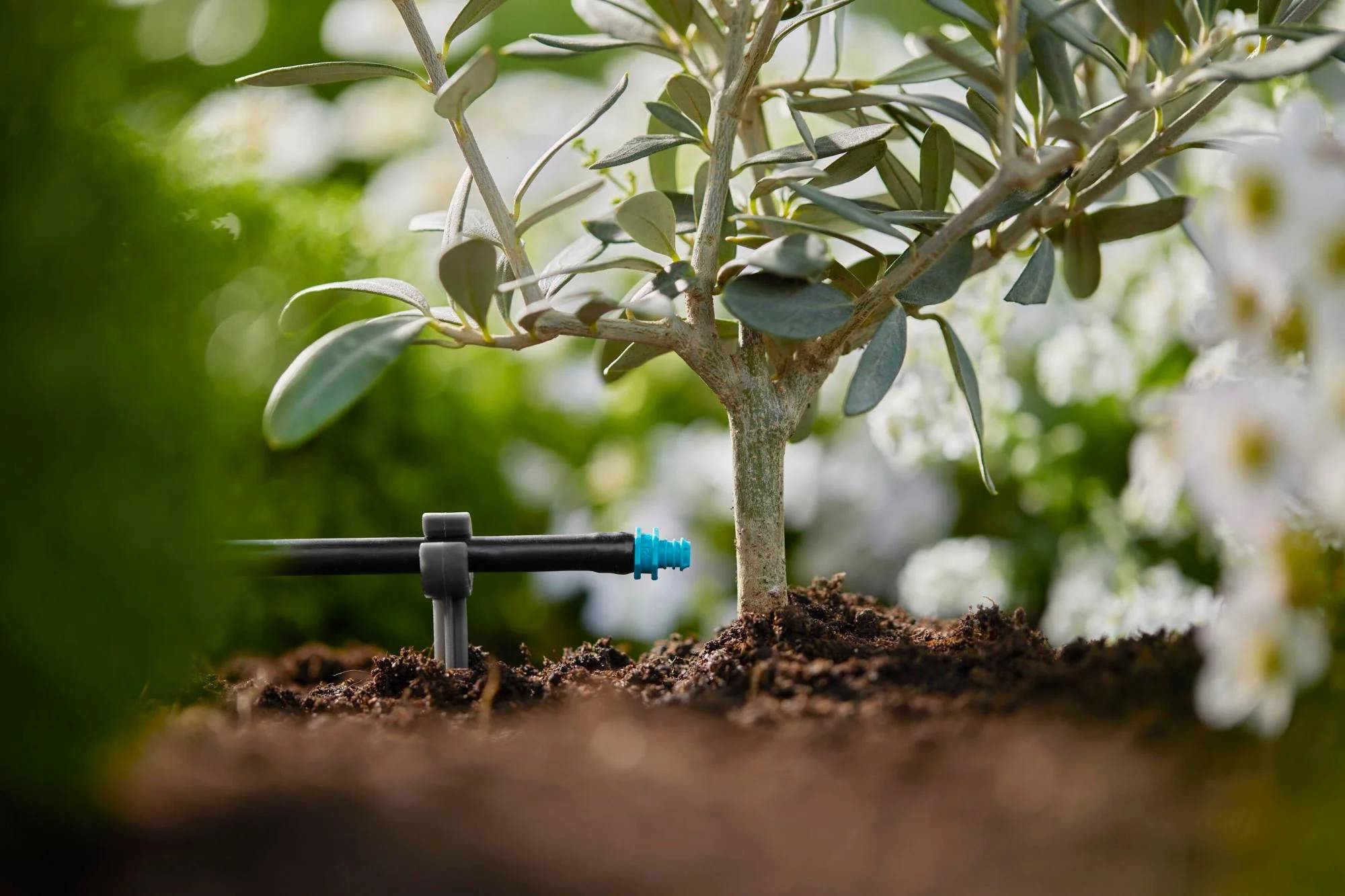 Gardena - Goutteur fin de ligne autoregulant 2l/h - Gardena - Image 3