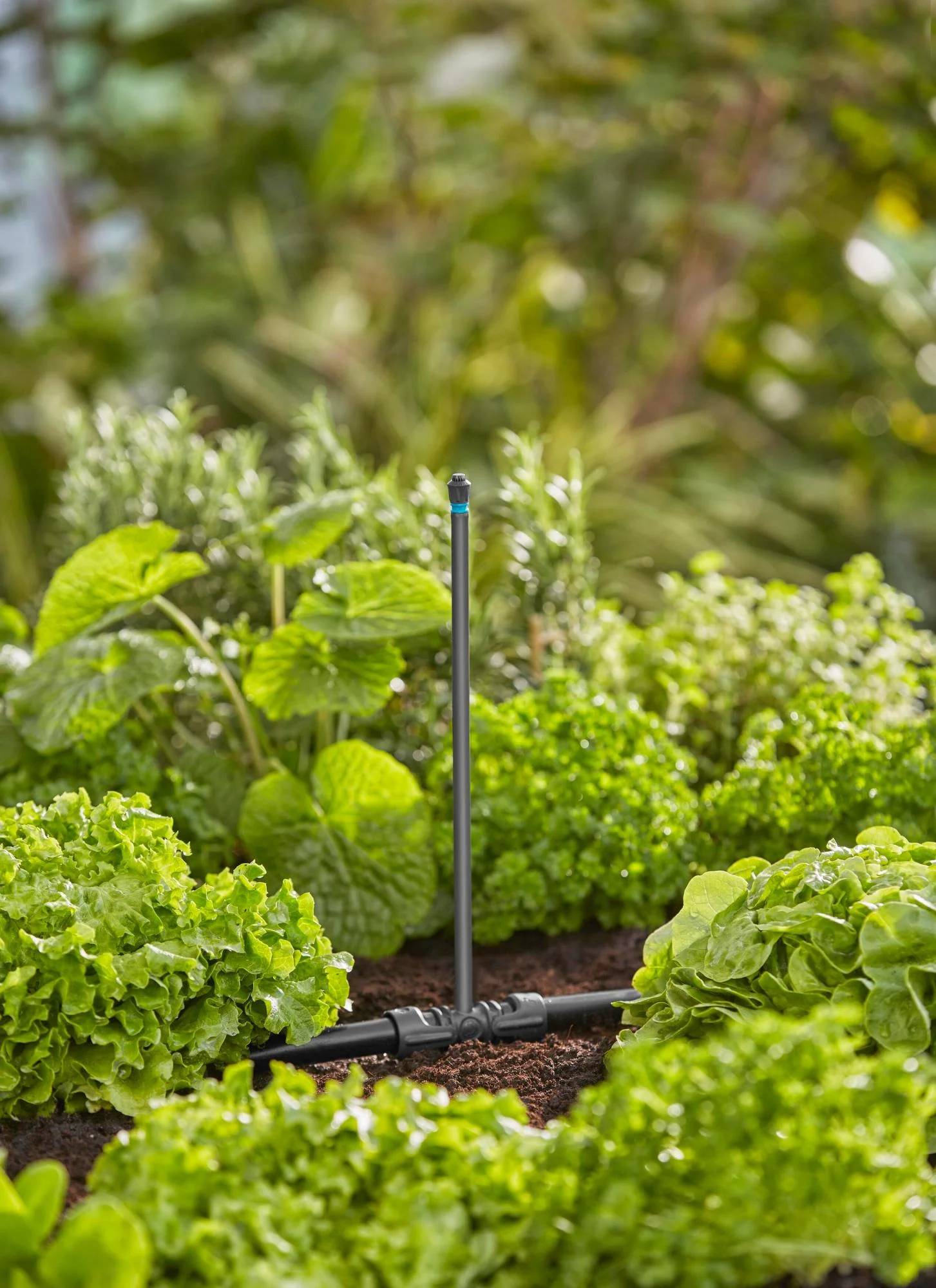 Gardena - Tube prolongateur pour micro-asperseur Boite 5 pièces - Gardena - Imagen 2