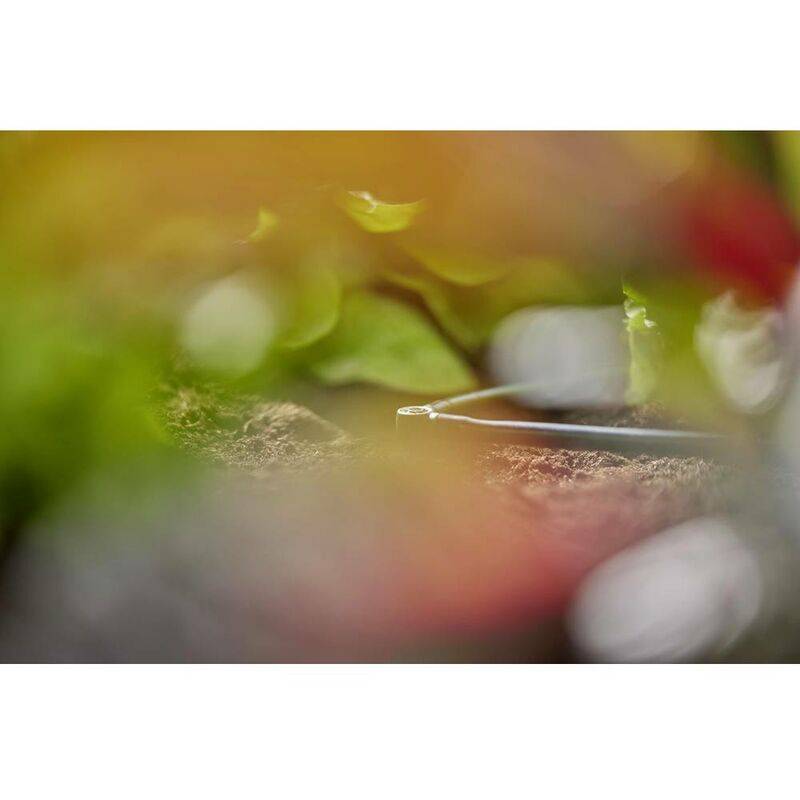 Gardena - Connecteur de tuyau en plastique noir Ø4.6 mm modèle L - Gardena - Imagen 2