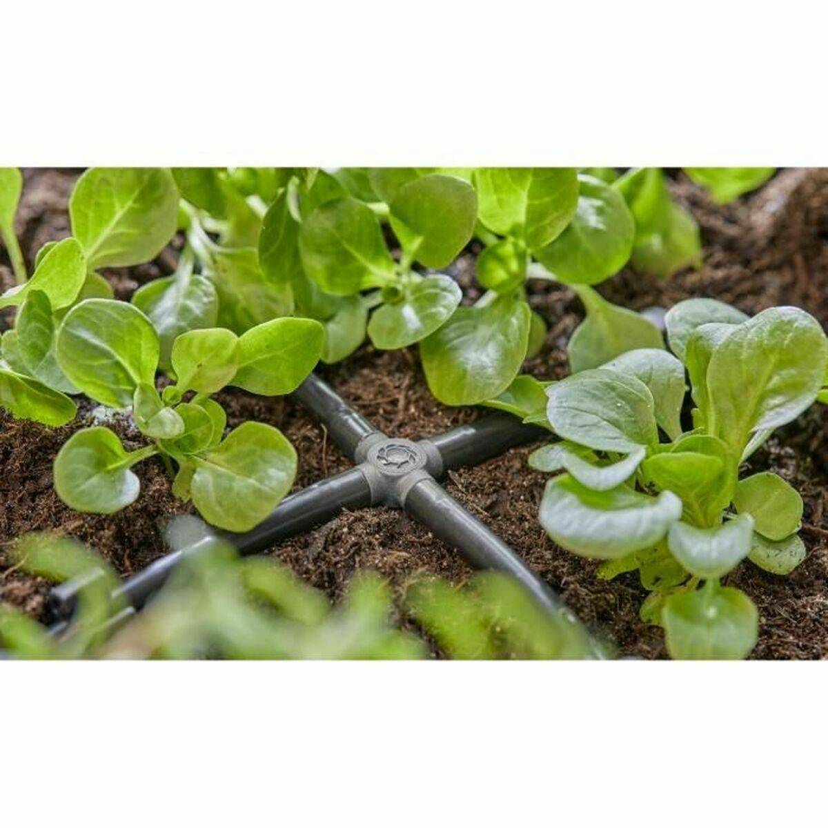 Gardena - Dérivation en croix système d'irrigation 4,6 mm - Gardena - Imagen 7