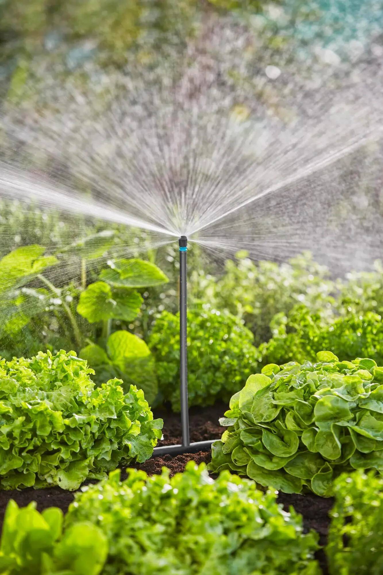 Gardena - Kit d'arrosage goutte-à-goutte - Gardena - Imagen 5